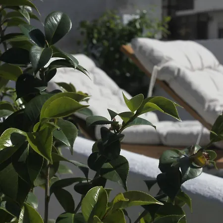 Mare - Garden, Yoga & Surf